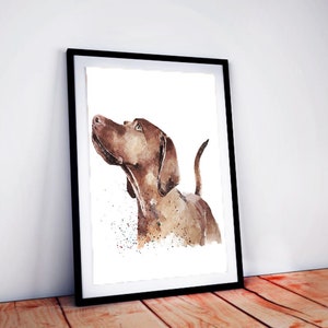 That Vizsla Look" Print Watercolour,Vizsla art,Vizsla print,Vizsla Watercolour,Vizsla Wall Decor, Vizsla Wall Hanging,Dog Art Print.