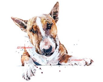 Red and White English Bull Terrier - Watercolour Print.Bull Terrier art,Bull Terrier print,Bull Terrier watercolour,Bull Terrier wall art