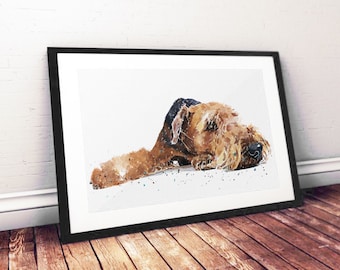 Airedale Passed Out - Watercolour Print.Airedale Terrier,Airedale Terrier art,Airedale Terrier print,Airedale Terrier watercolour