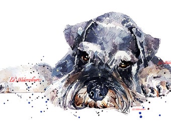 Schnauzer - "Reclined " Print Watercolour.Schnauzer art,Schnauzer painting,Schnauzer print,Schnauzer wall art,,Schnauzer watercolour