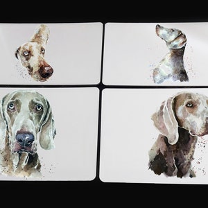 Op de afbeelding: Set van vier witte onderzetters met aquarel illustraties van Weimaraner honden. Elke onderzetter heeft een andere pose van de hond, met een witte achtergrond en subtiele aquarel spatten.