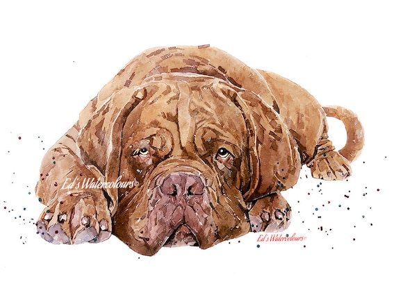 dogue de bordeaux art