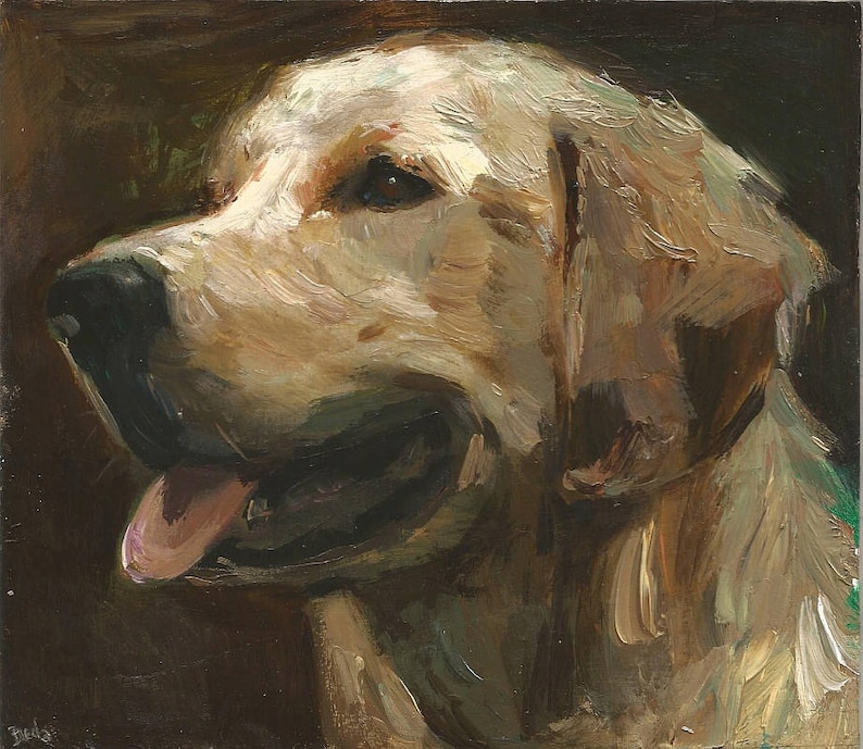 Portrait de chien personnalisé, portrait d'animal de compagnie, peinture à l'huile, peinture animalière, oeuvre d'art originale, 8 x 8, 8 x 10, 11 x 14 pouces et plus image 2