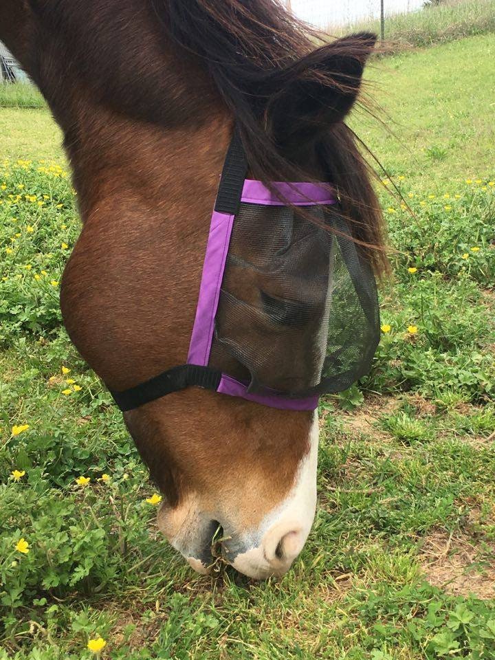 NEW! Janet's Fly Mask for horse donkey mule or mini lightweight see-thru breezy comfort against flies gnats mosquitoes + 15%UV