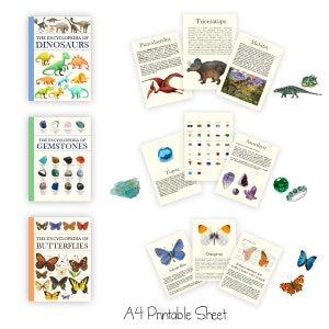 3 Druckbare Enzyklopädie Bücher mit Seiten - Dinosaurier, Edelsteine, Schmetterlinge - Puppenhaus-Miniaturen 1:12 PDF PDF zum Downloaden
