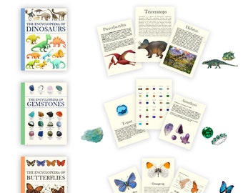 3 Printable Encyclopedia Books with pages - Dinosaurs, Gemstones, Butterflies - Dollhouse Miniatures 1:12 Downloadable PDF sheet