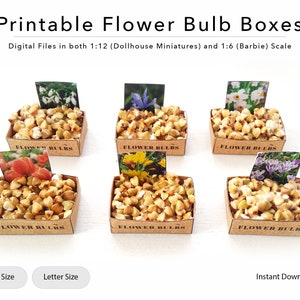 Miniature Printable Flower Bulb Boxes | Dollhouse Garden | 1/12 | 1/6 | Gardening Tools | Digital File | Miniature Flowers | Flower Bulbs