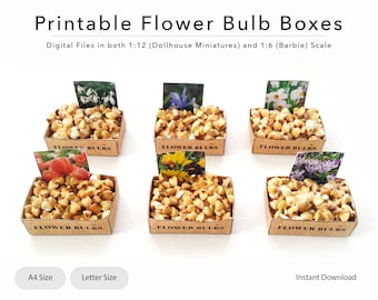Miniatur Blumenzwiebel Boxen: Puppenhaus Garten bedruckbar (Digitale Datei)