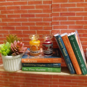Op de afbeelding: Miniatuur plank met boeken en decoratieve items. Twee kleine glazen potjes met de tekst "Pumpkin" en "Hibiscus" staan op een stapel boeken. Een kleine witte pot met vetplanten staat links. De achtergrond is een bakstenen muur.