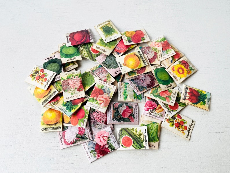 Printable Miniature Seed Packets Digital File Printable - Etsy