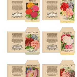 Printable Miniature Seed Packets | Digital File | Printable Sheet for ...
