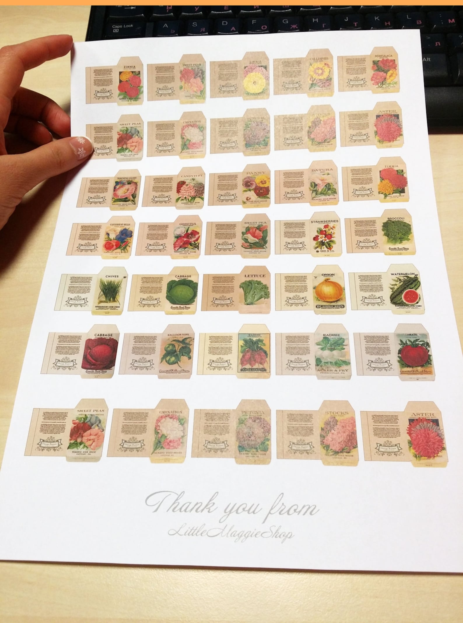 Printable Miniature Seed Packets Digital File Printable - Etsy