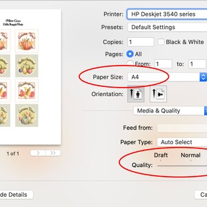 May include: A print preview on a computer screen shows autumn-themed stickers with pumpkins and leaves. The printer settings are set to A4 paper size and "Best" quality. The stickers feature the text "Autumn Time!" and "Thanksgiving".