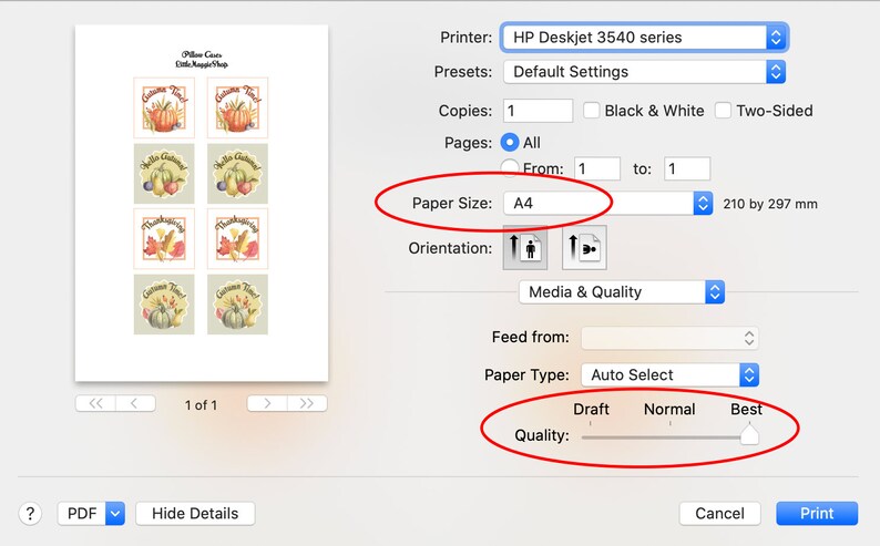 May include: A print preview on a computer screen shows autumn-themed stickers with pumpkins and leaves. The printer settings are set to A4 paper size and "Best" quality. The stickers feature the text "Autumn Time!" and "Thanksgiving".