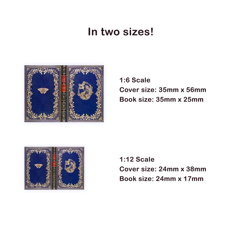72 Medieval and Vintage Printable Miniature Book Covers for a Dollhouse 1/6 and 1/12 scale with inner pages and real text inside image 6