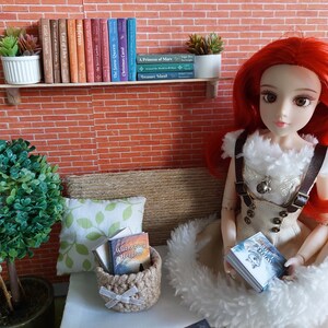 Op de afbeelding: Een roodharige pop met een witte en bruine jurk zit op een bank met een boek in haar handen. De pop is omringd door boeken en planten. De boeken staan op een plank boven de bank. De boeken zijn getiteld "Little Women", "East of Eden", "Inferno", "The Snow Queen", "Christmas Carol", "The Prince of Mars", "Treasure Island", en "Wuthering Heights".