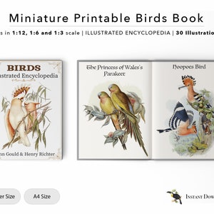 Enciclopedia ilustrada de aves en miniatura para imprimir / Libro imprimible para casas de muñecas / 30 ilustraciones / Archivo digital / Escala 1/12 / 1/6 / 1/3