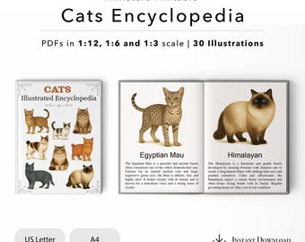 Enciclopedia de gatos en miniatura: Biblioteca de casas de muñecas (Descarga en PDF, escalas 1/12, 1/6 y 1/3)