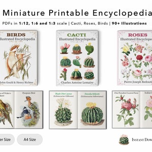 3 Illustrierte Miniatur Enzyklopädien | Kakteen | Rosen | Vögel | Puppenhaus Bücher | 90+ Illustrationen | PDF | 1/12 | 1/6 | 1/3