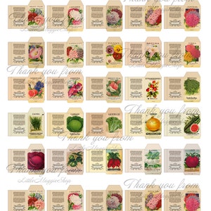 Printable Miniature Seed Packets | Digital File | Printable Sheet for ...