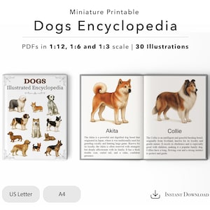May include: A miniature printable "Dogs Encyclopedia" with illustrations of various dog breeds. The book is available in 1:12, 1:6, and 1:3 scales. The cover reads "Dogs Illustrated Encyclopedia". The book features illustrations of Akita and Collie breeds.