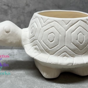 May include: A white ceramic turtle planter with a textured shell design. The turtle has a detailed head and legs, and the planter opening is at the top. The Cactus Kiki Works logo is visible in the lower left corner.