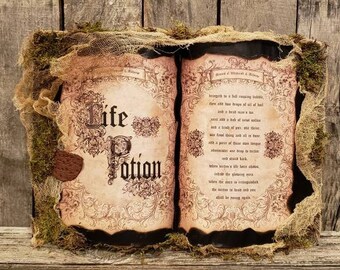 Hocus Pocus Inspired Spell Book, Life Potion, Halloween decor, Halloween decorations, Hocus Pocus decor, Sanderson Sisters, witchy, spells