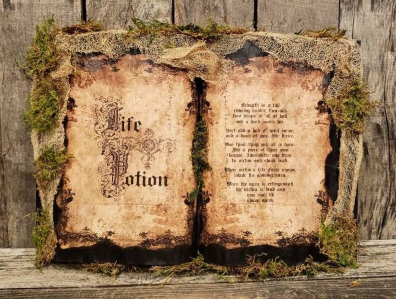 Life Potion Hocus Pocus Inspired Spell Book Halloween Home - Etsy