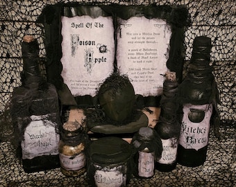 Poison Apple Spell Book and Potion Bottle Set, Halloween Home Decor, Halloween decor, Snow White, Evil Queen, witchy decor, Halloween party