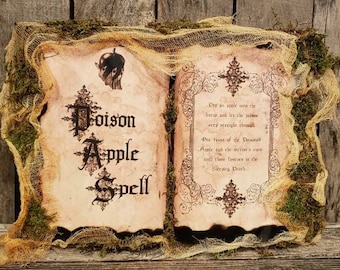 Spell Book, Halloween Spell Book, Poison Apple Spell, Snow White, Evil Queen, Halloween decor, Halloween party, Snow White decor, witch book