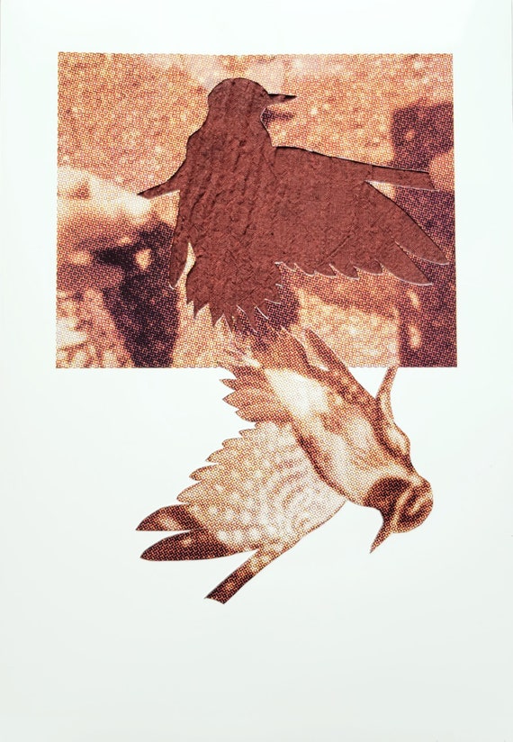 At a Loss Series - The Sapsucker - Original Mixed Media Collage
