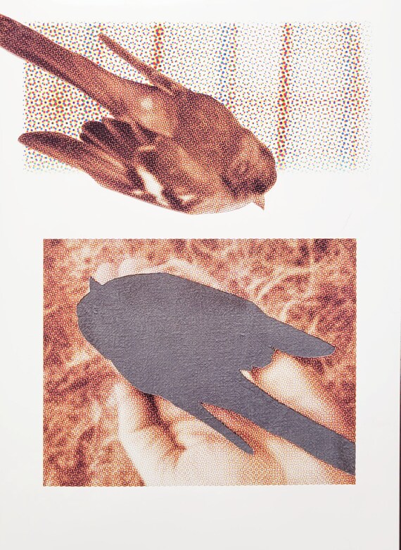 At a Loss Series - The Chaffinch - Original Mixed Media Collage