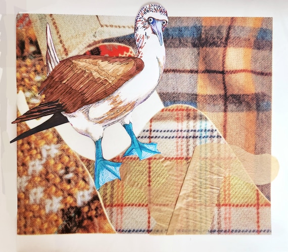 The Booby - Digital Print