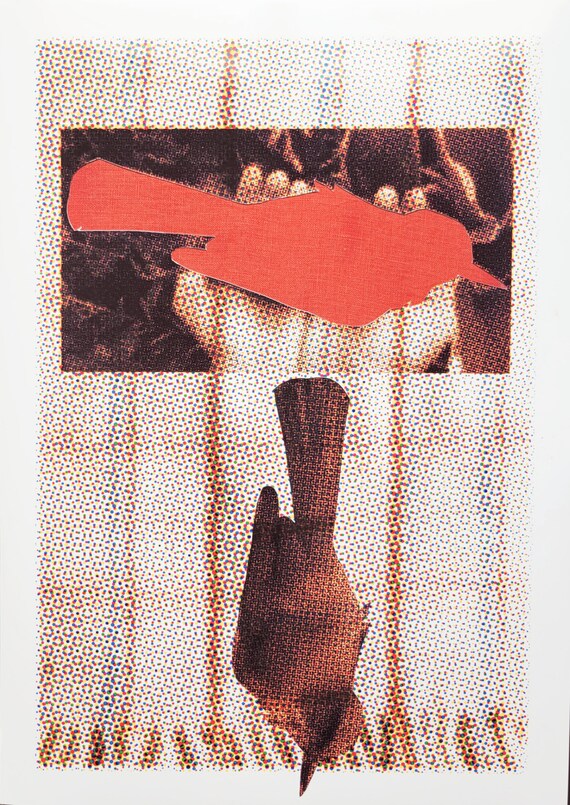 At a Loss Series - The Jay - Original Mixed Media Collage