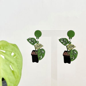 Boucles d'oreilles plante Monstera Deliciosa image 1