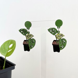 Monstera Deliciosa Plant Earrings image 3