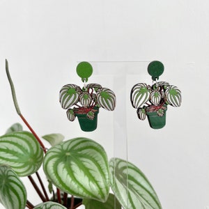 Watermelon Peperomia Earrings, Handpainted © 2021