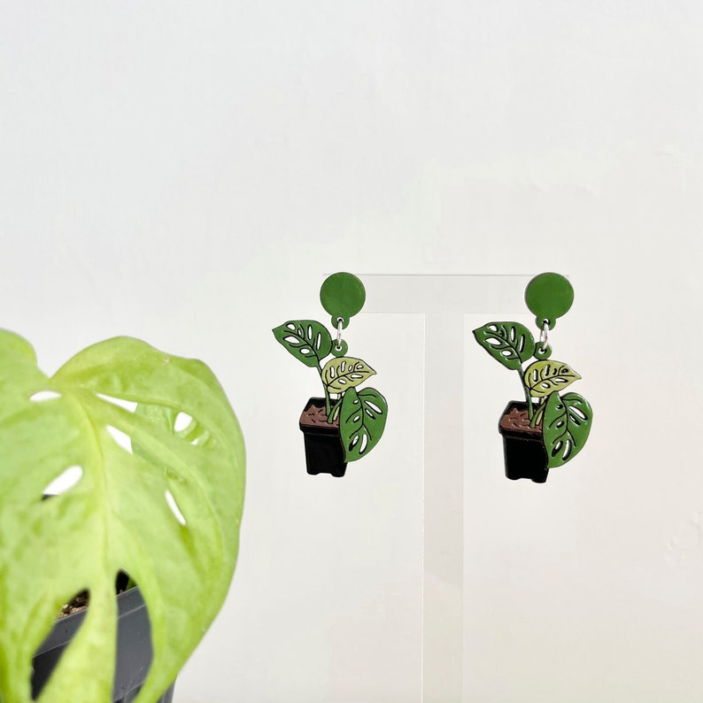 Boucles d'oreilles plante Monstera Deliciosa image 1