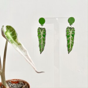Alocasia Leaf Earrings, Handpainted © 2021