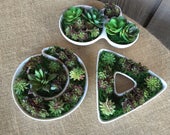 Faux succulents succulents circular succulent triangle pot of succulents trio of succulents funky containers succulents white ceramic