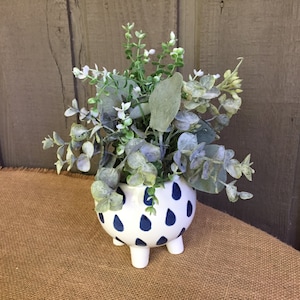 May include: A white ceramic planter with blue raindrop designs and four legs. The planter is filled with a green and white leafy plant.