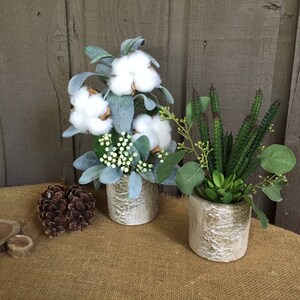 May include: Two cylindrical planters with a textured birch bark finish. One contains white cotton bolls, green leaves, and small white berries. The other holds green succulent plants, spiky foliage, and thin stems with tiny buds, accompanied by pinecones.