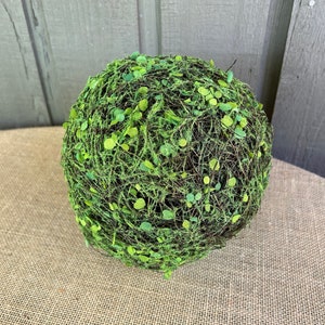Burton & Burton Floral- Sheet Moss (Green) Natural Box