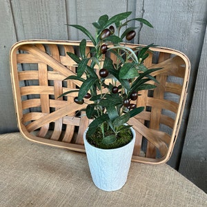 Faux olive tree in white textured pot/ olive tree/ Mediterranean decor/ hostess gift/ housewarming gift/ embossed pot/olive tree arrangement