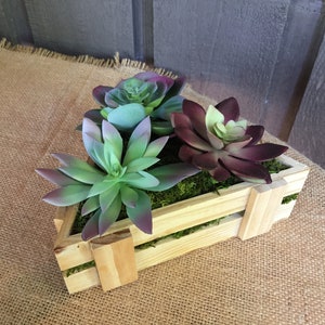 May include: A wooden planter box with a triangular shape, filled with green and purple succulents and moss.