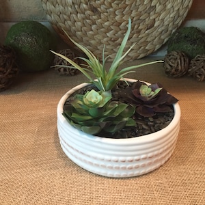 Faux succulent arrangement/ round arrangement of faux succulents/ succulent centerpiece/ coffee table succulents/succulent centerpiece decor