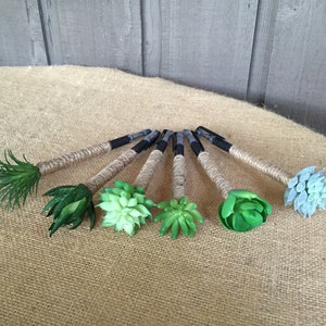 May include: Seven black pens wrapped in twine with different green and blue succulent plants attached to the ends.