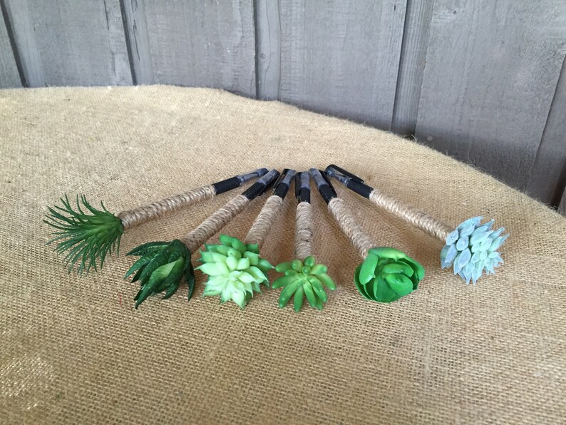 May include: Seven black pens wrapped in twine with different green and blue succulent plants attached to the ends.