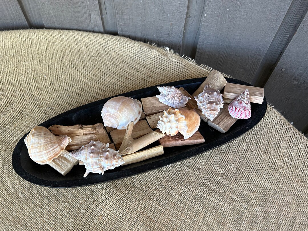 Nautical Bowl Filler/ Sea Shells Bowl Filler/ Nautical Tiered Etsy