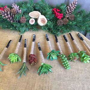 May include: Ten small succulent arrangements tied with twine and black ribbon. The arrangements are on a burlap background.